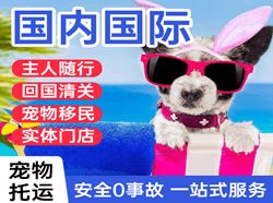 惠州平潭机场快递国际宠物托运 【国